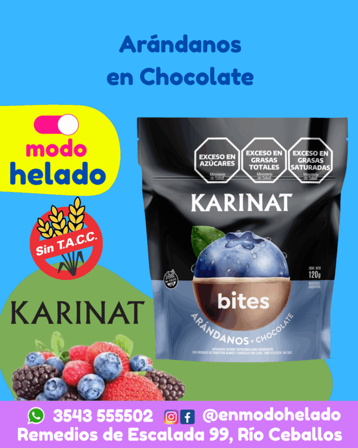 Arandanos en Chocolates Bites de Karinat
