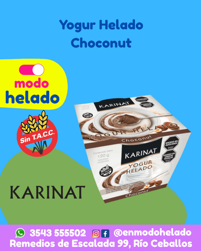 Yogur Helado Choconut Sin TACC Karinat