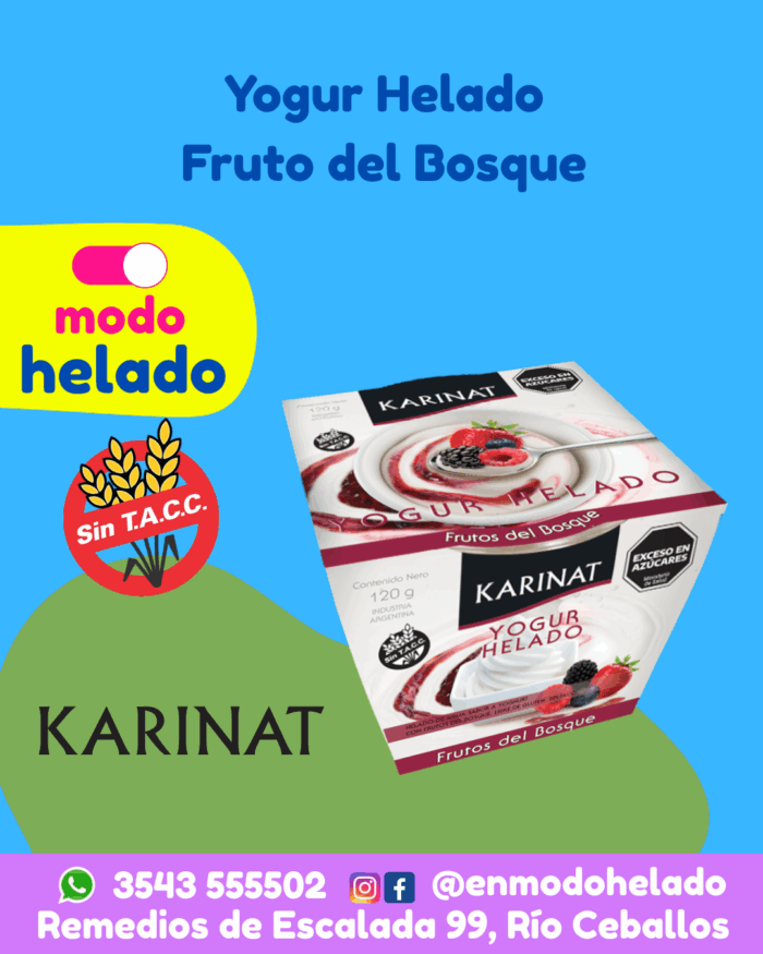Yogur Helado Frutos Del Bosque Sin TACC Karinat